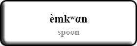 spoon